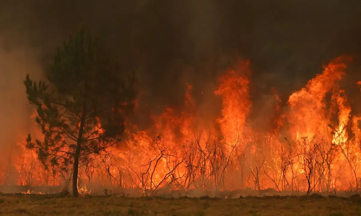 A wooded area burns in Marcheprime, west of Bordeaux, as a wildfire ravaged forest north of the Arcachon Basin in Gironde on July 26, 2026. - AFP