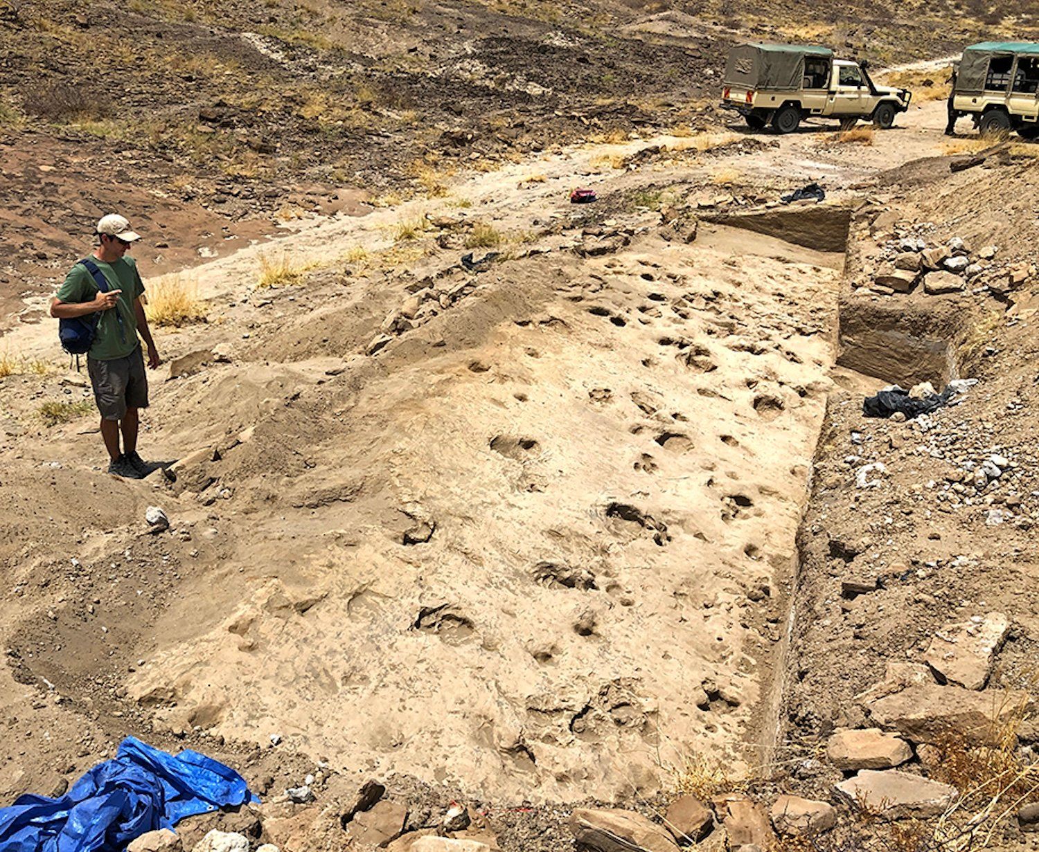 Overview of the excavated GaJi10 track surface with deeper hippopotamus and antelope footprints and shallower hominin tracks visible. - Kay Behrensmeyer / Smithsonian