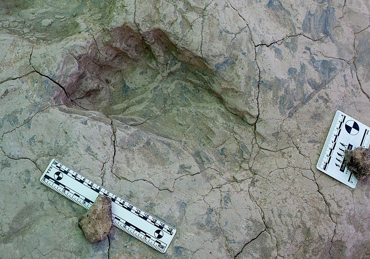 Hominin footprint from 1.43 million years ago at the Koobi Fora site in Kenya. - abc.es