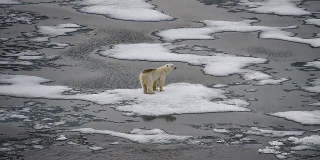 Arctic landscape in the Franz Josef Land archipelago, in the Arctic Ocean, on Aug. 16, 2021. - lemonde.fr