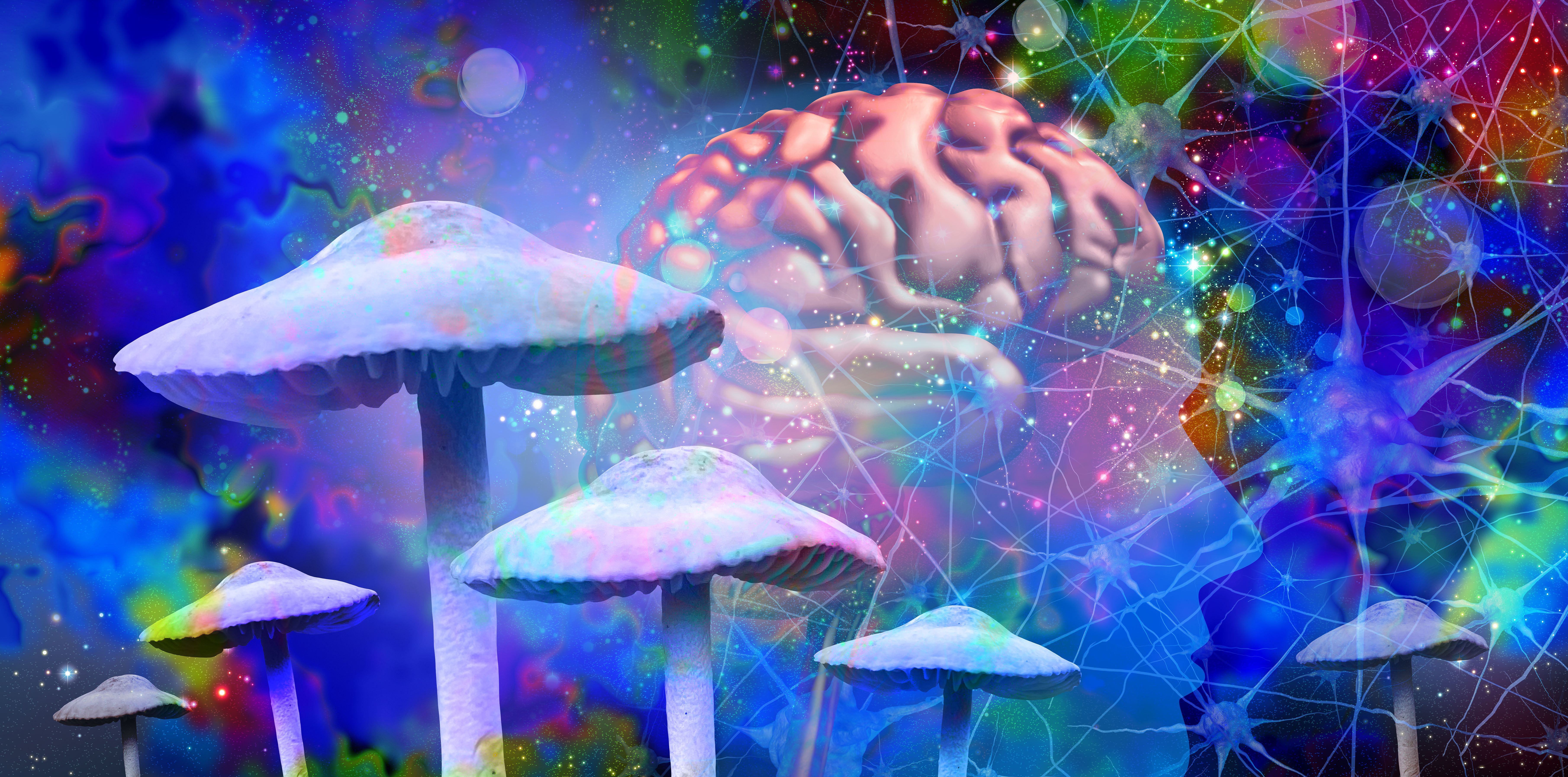 Image accompanying Wired's article on psilocybin and brain activity. - wired.com