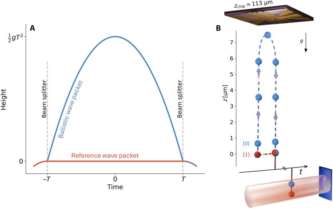 Figure illustrating the thought experiment and its experimental realization for testing the equivalence principle with quantum objects. - Dobkowski et al., Science Advances, 2026