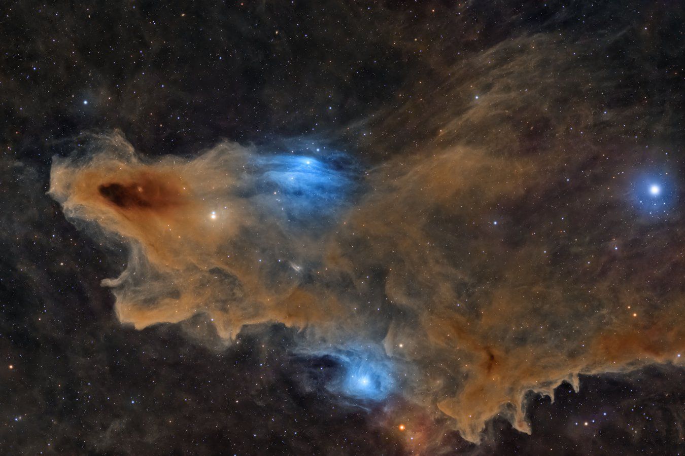 The Quiet Predator, Ali Alobaidly’s winning image of the Shark Nebula - Ali Alobaidly/New Scientist