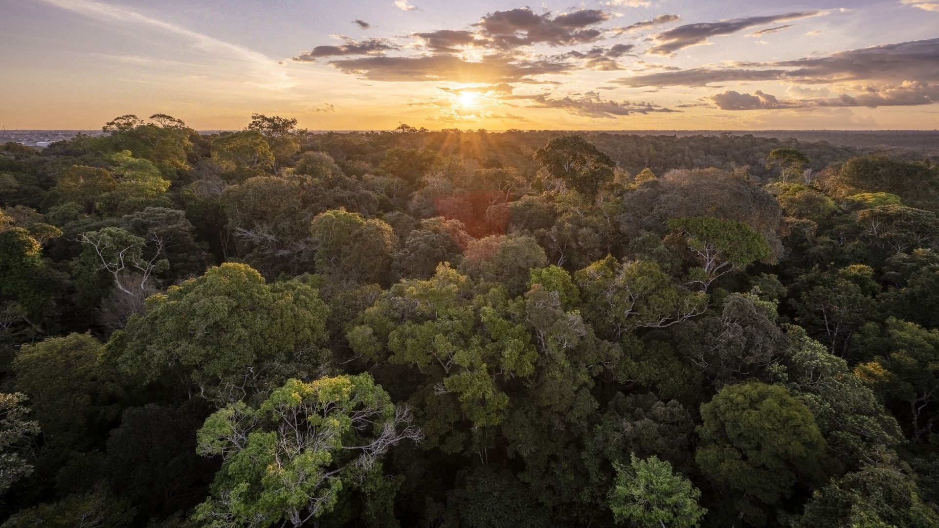 The Amazon is one of several natural systems that could cross a tipping point as Earth continues to warm. - livescience.com